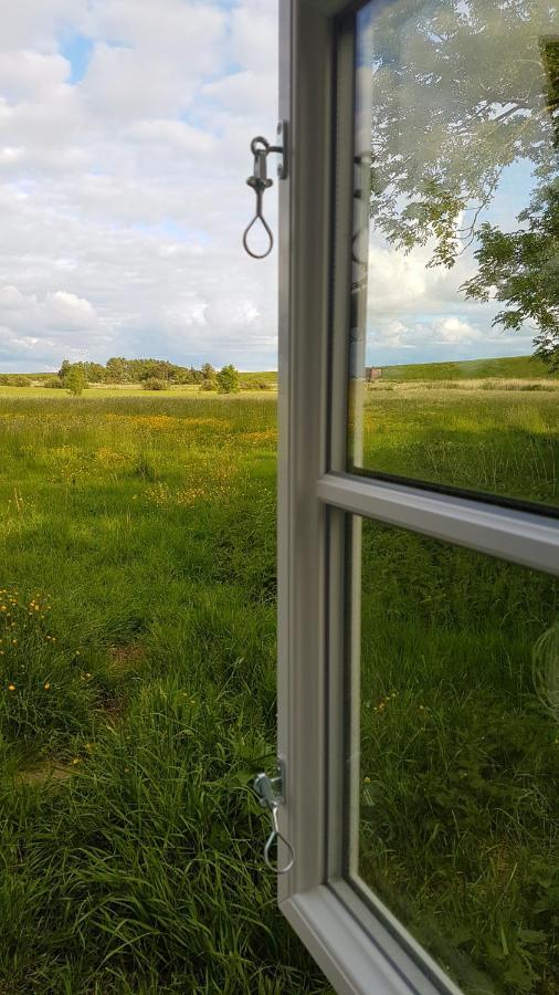 Ferienwohnung Marschkieker - Kleiner Deichhof Hattstedtermarsch Экстерьер фото